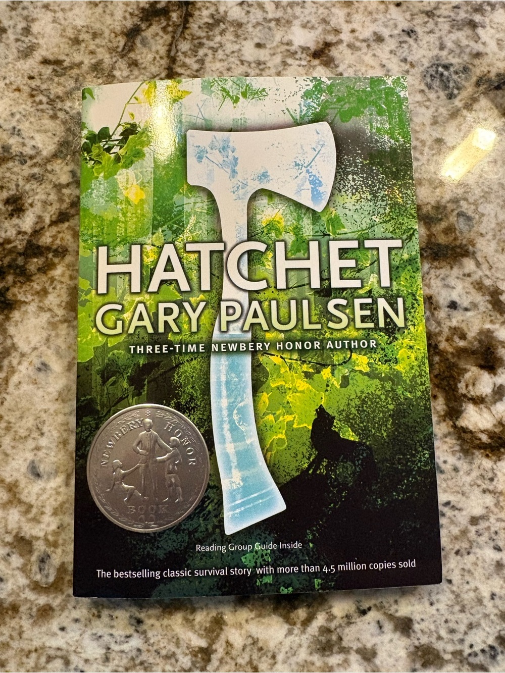 Hatchet by Gary Paulsen Classic Survival Story Book